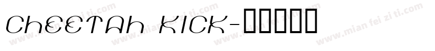 cheetah kick字体转换